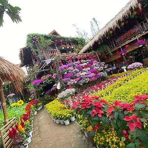 Resort Khamy Riverside, Hoi An